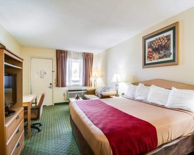 1 Bedroom Standard Double room