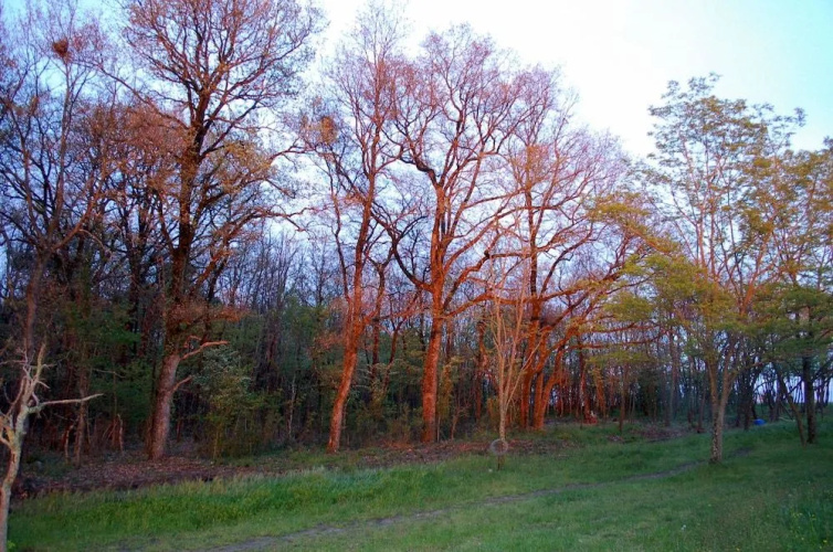 Ranch de Boujac