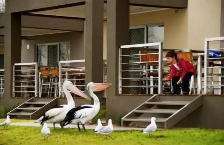 Ski Club Holiday Park