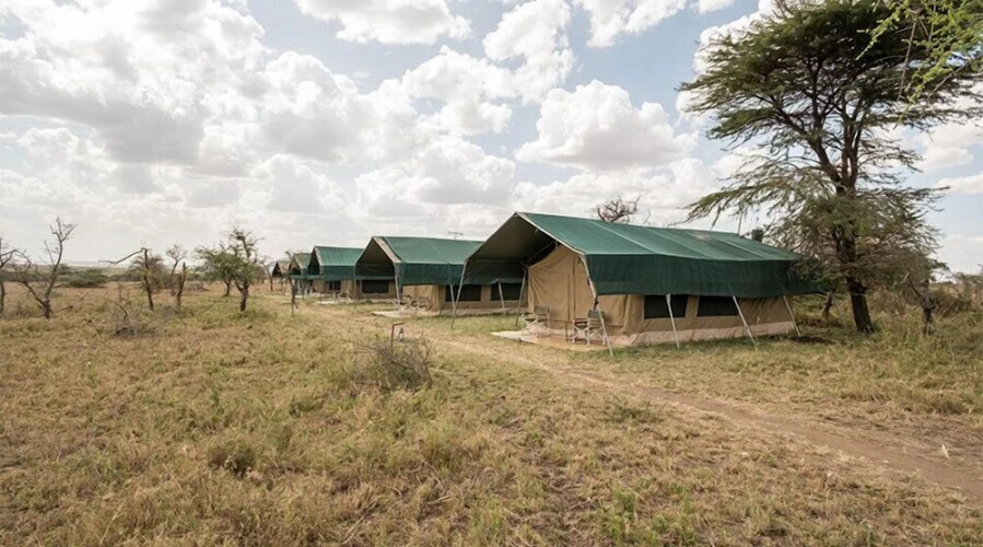 Serengeti Wild Camp