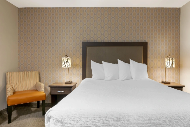 Quadruple Suite