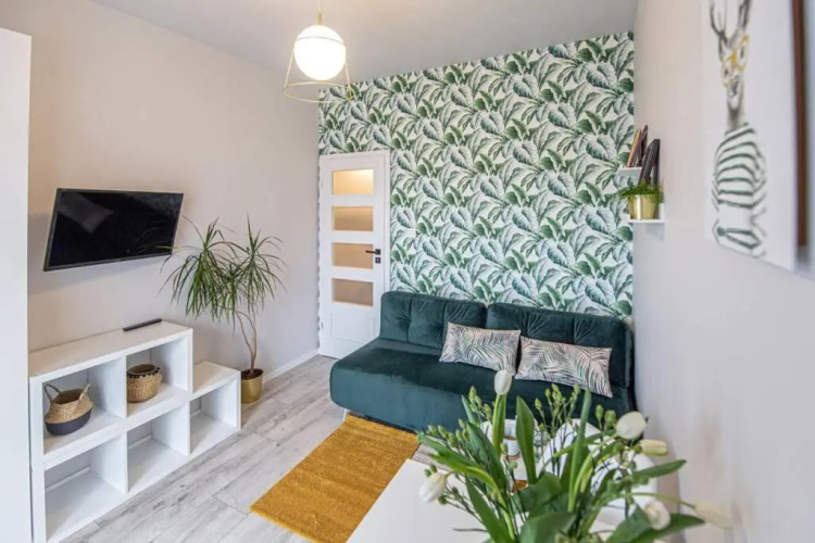 Apartament with Garden