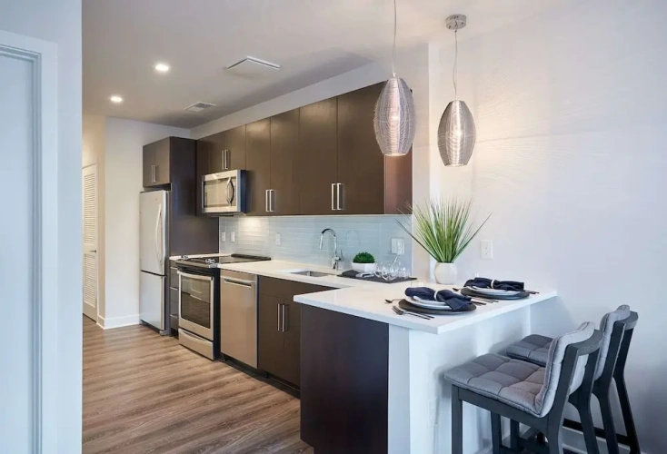 Luxury Apartment