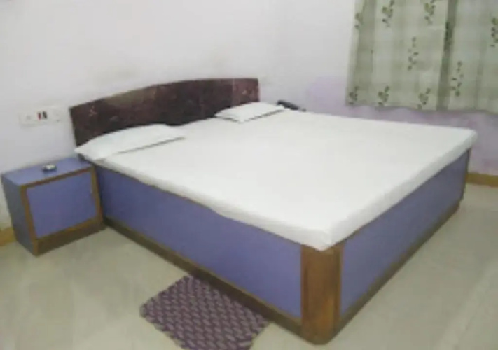 Hotel Mina Palace