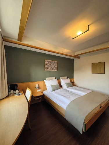 Standard Double room with mountain view