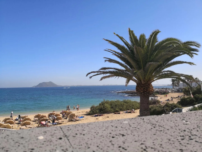 TAO Caleta Playa photo 15