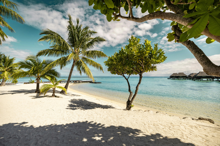 Hilton Moorea Lagoon Resort and Spa photo 24