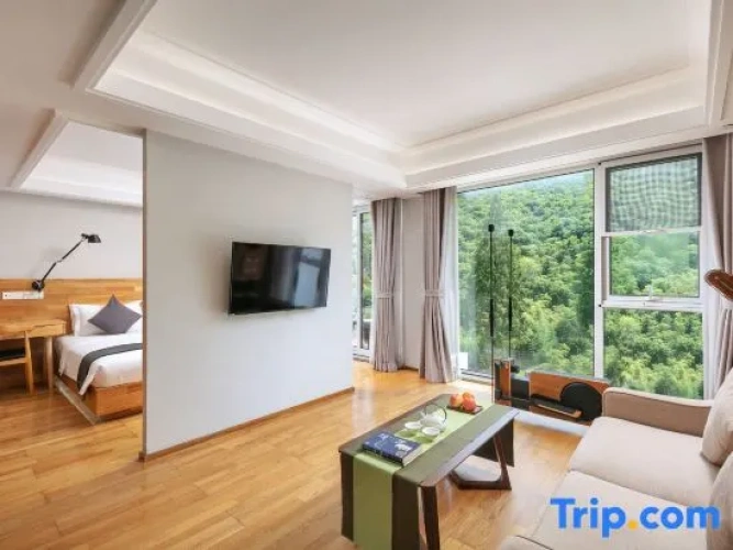 Standard Double room with view