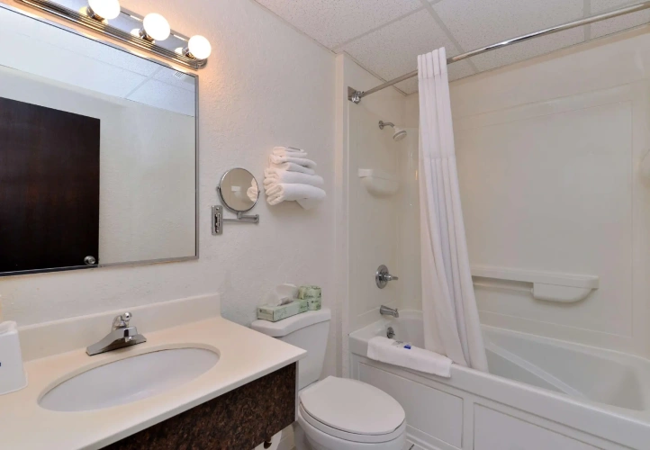 1 Bedroom Standard Double room
