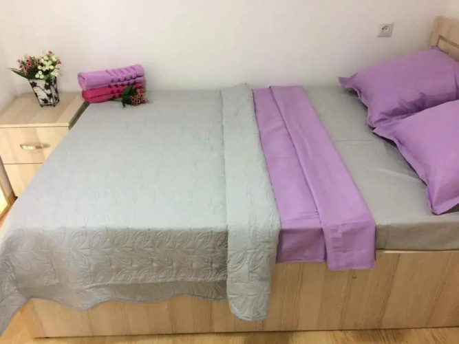 Party Hostel