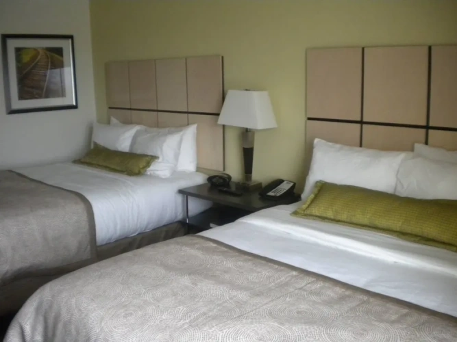 Quadruple Suite