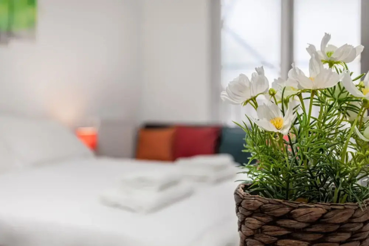 Studio Apartment  Central London