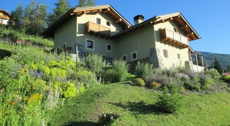 Petite Cerise B&B