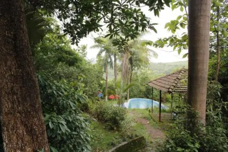 Sai Farms