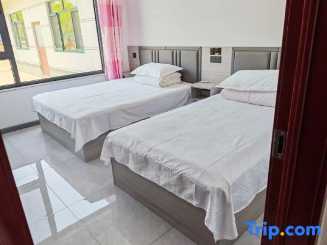 Comfort Suite