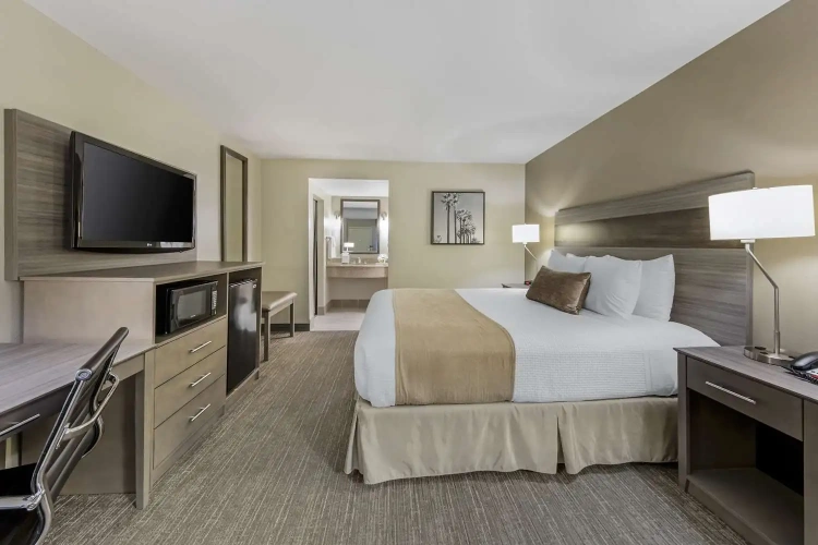 Business Double room