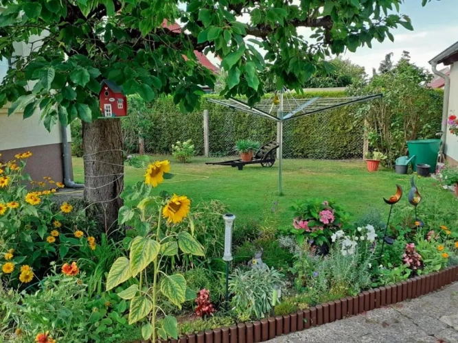 1 Bedroom Cottage