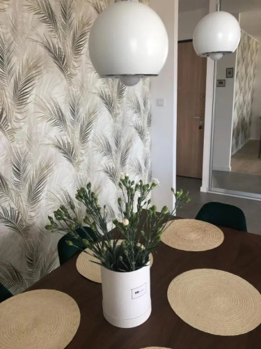 Baltic Soul Apartment