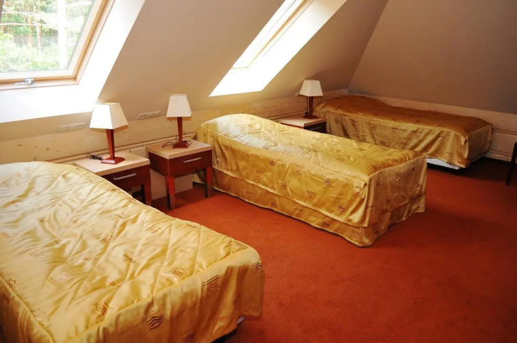 Hotel 365