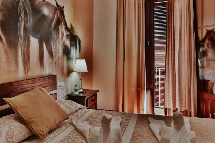Standard Double room with balcony