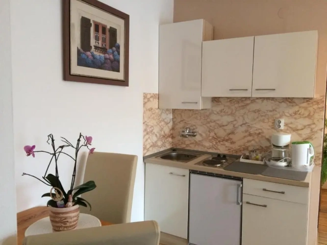 Studio with balcony and with view