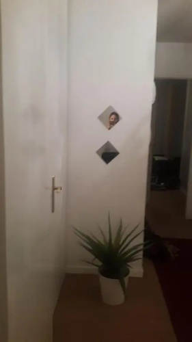 8 Rue Brise Echalas