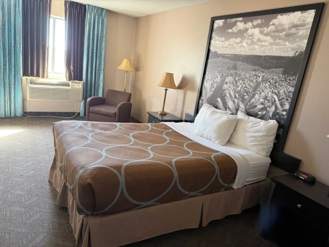 Standard room