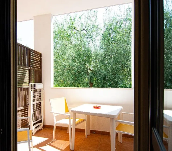 Standard Double room with balcony and with view