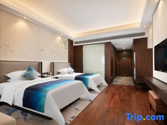 Executive Twin room
