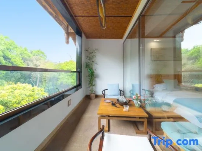 Standard Double room with balcony and with view