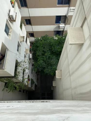 Charming 3-bed Apartment in Mohammadpur Dhaka