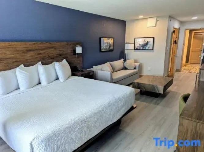 1 Bedroom Double Suite