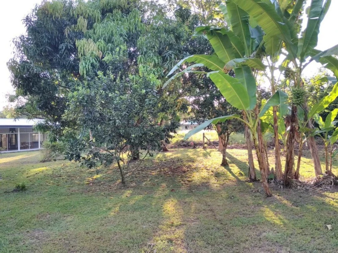 Casa Eva Ojochal