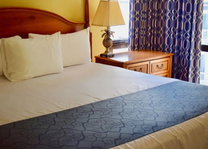 1 Bedroom Standard room with balcony and with ocean view
