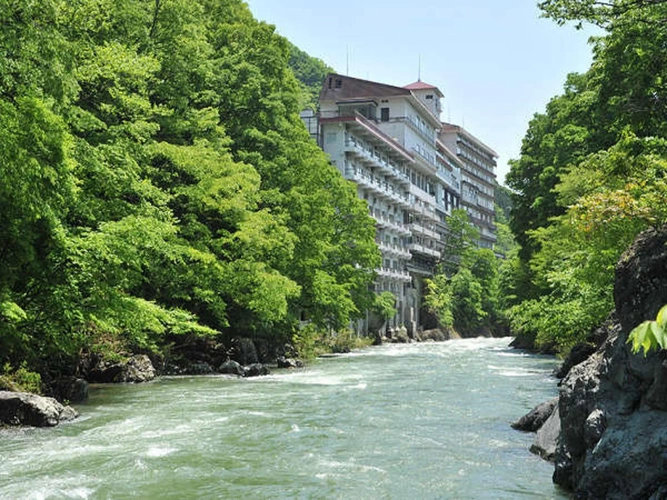 Standard room with river view