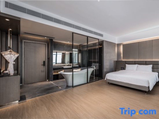 Deluxe Double room with city view