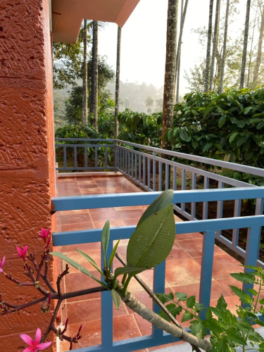 FernHills coorg