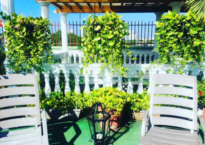 Imagen de Hotel Patio De Getsemani