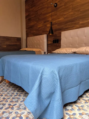 Black Tree Hotel Boutique
