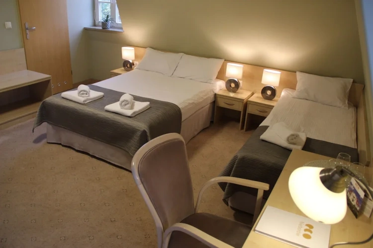 Standard Twin room with view