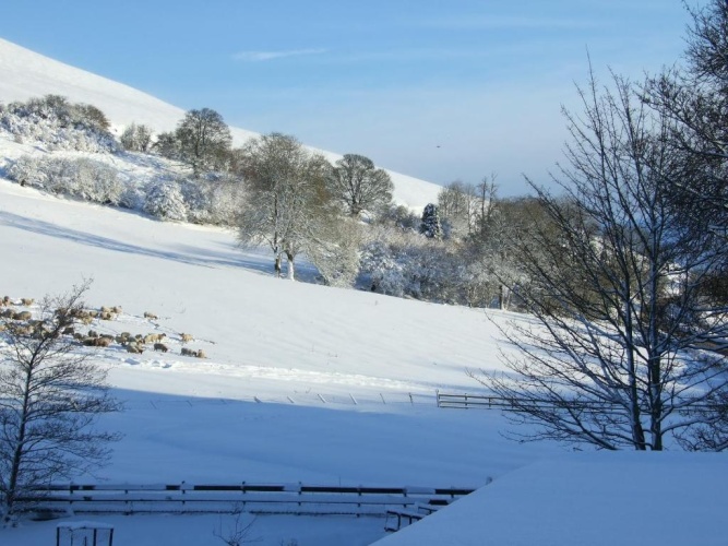Standard Double room with mountain view