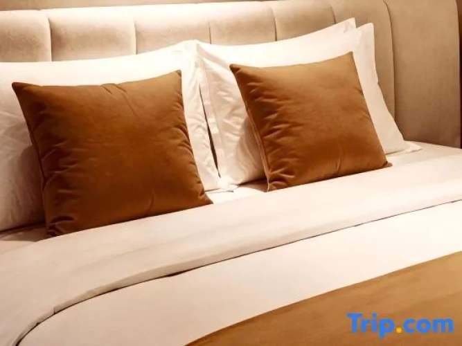 Bed in Dorm
