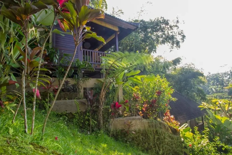 Deluxe Double room with balcony and with view