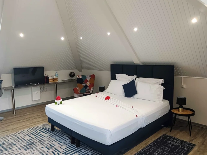 1 Bedroom Superior Studio