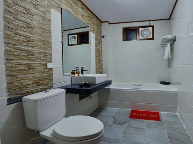 Standard Double room with balcony and with view