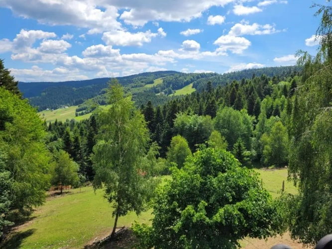 Standard Double room with mountain view