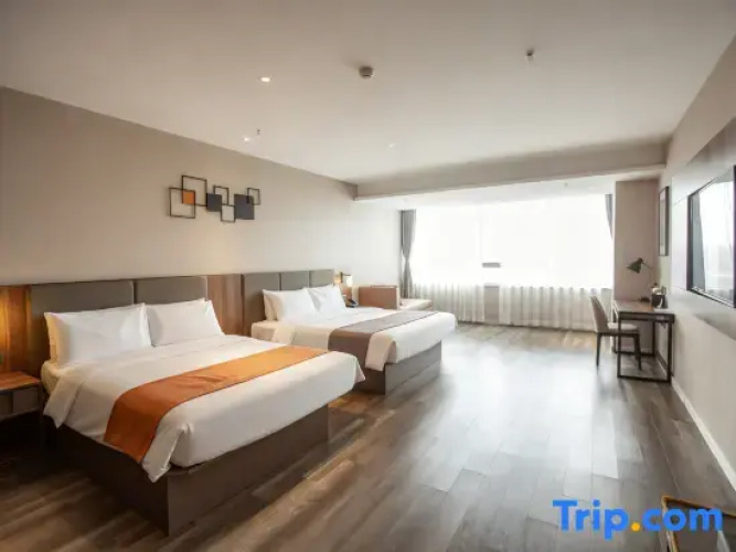 Standard Twin room with view