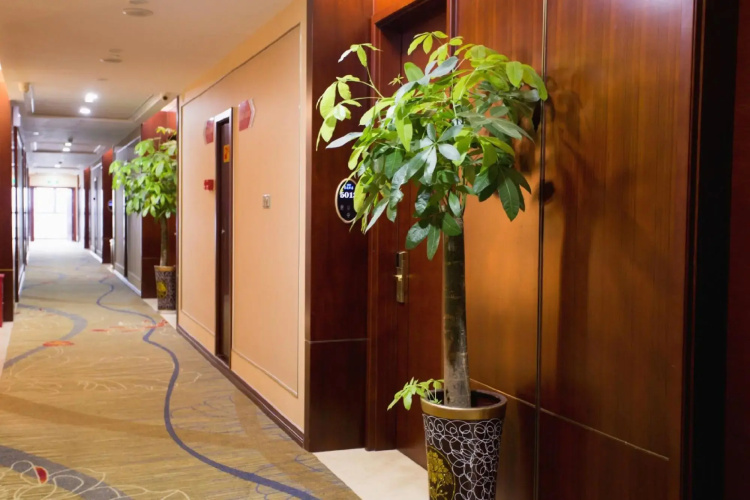 Dongting Hotel