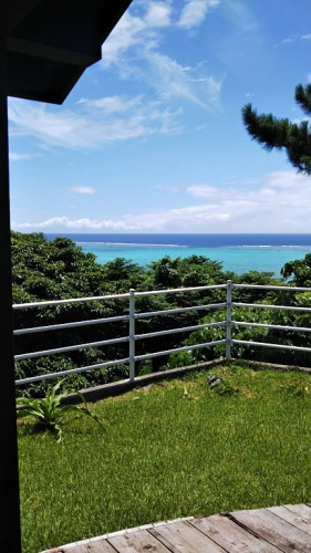 Sea Forest(Ishigakijima)
