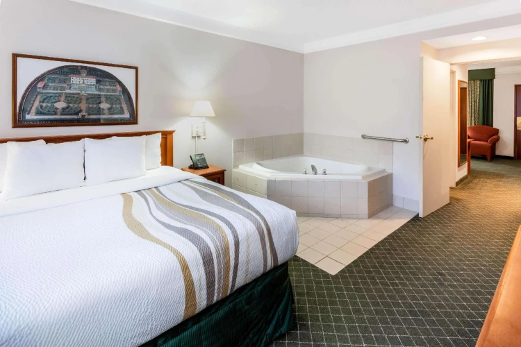 1 Bedroom Deluxe Double Suite